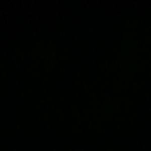 Meet your Posher, Lucy